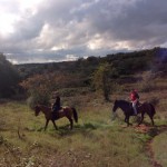 passeggiata a cavallo 3
