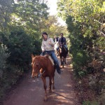 passeggiata a cavallo 5