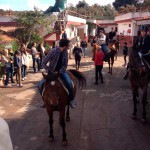 passeggiata a cavallo 6